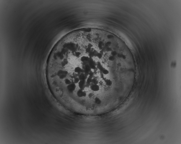 X0000102810899200809081106