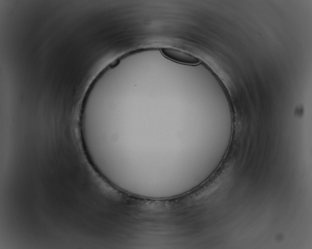 X0000102810901200809081106