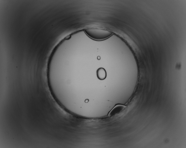 X0000102810902200809081106