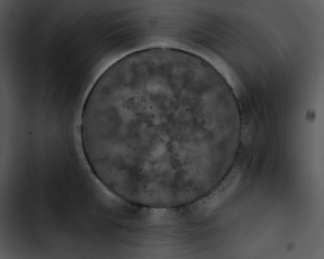 X0000102810903200809081106