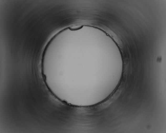 X0000102810904200809081106