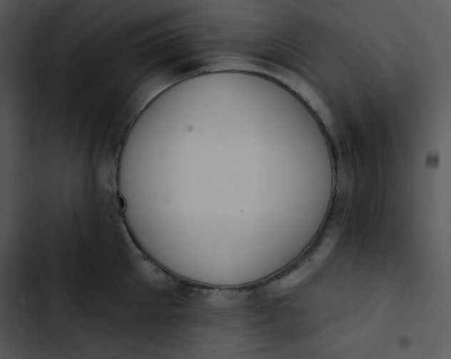 X0000102810905200809081106