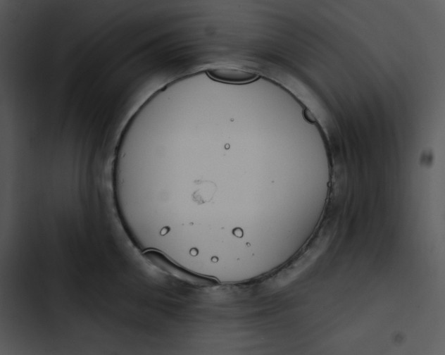 X0000102810906200809081106