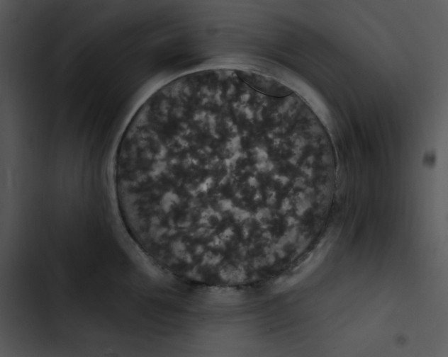 X0000102810907200809081106