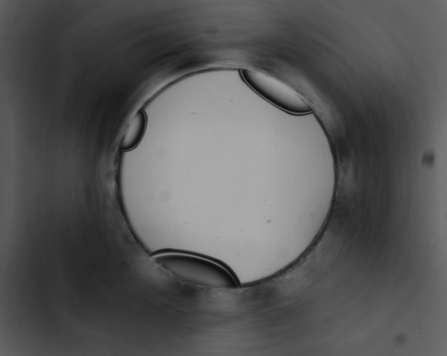 X0000102810908200809081106