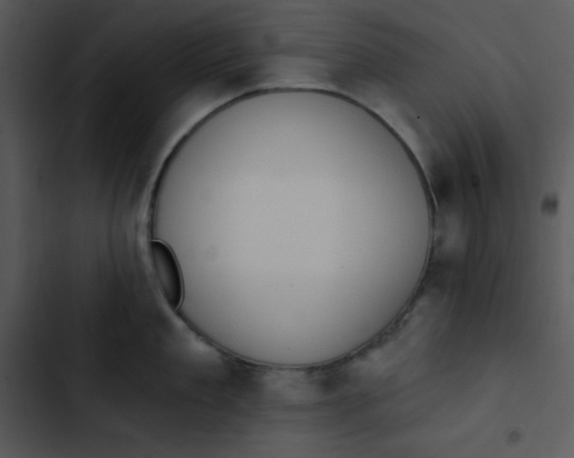 X0000102810909200809081106