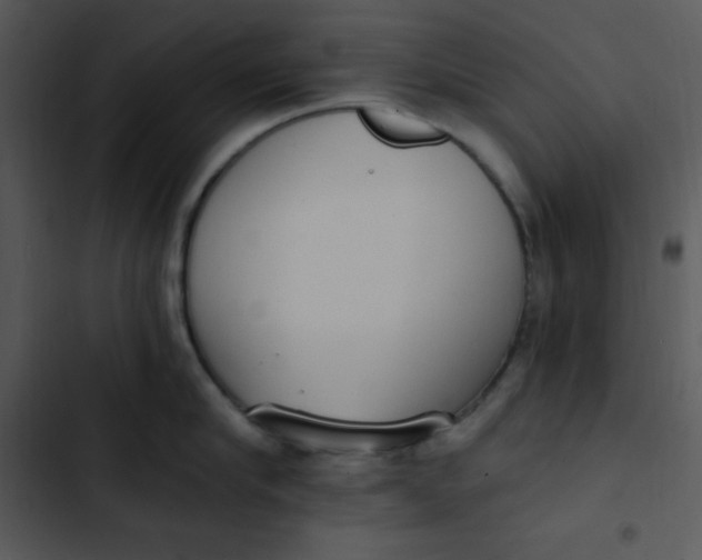 X0000102810910200809081106