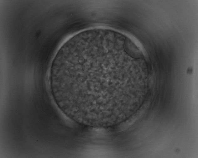 X0000102810911200809081106