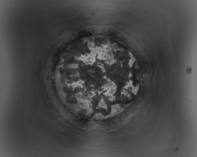 X0000102810913200809081105