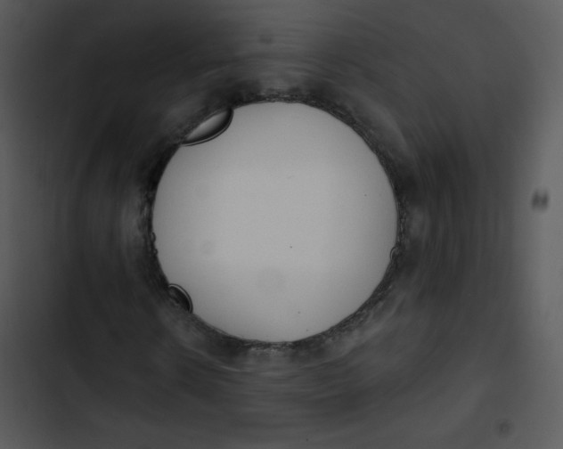 X0000102810914200809081105