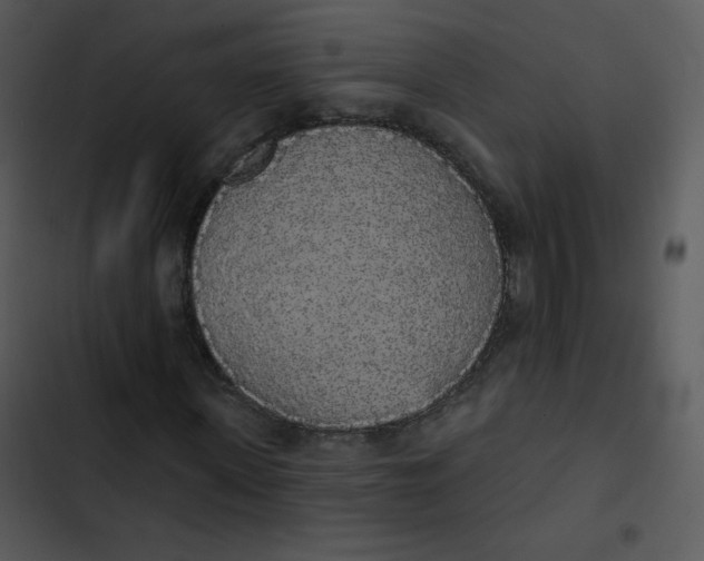 X0000102810915200809081105