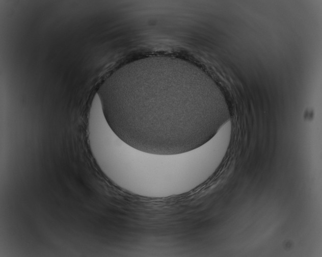 X0000102810916200809081105