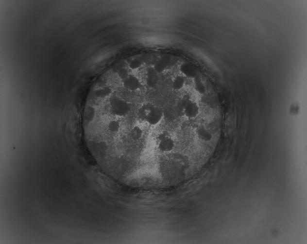 X0000102810917200809081105