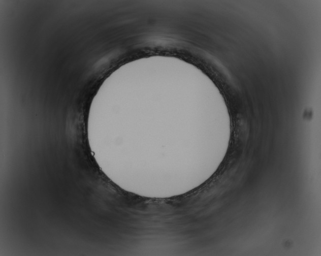 X0000102810918200809081105