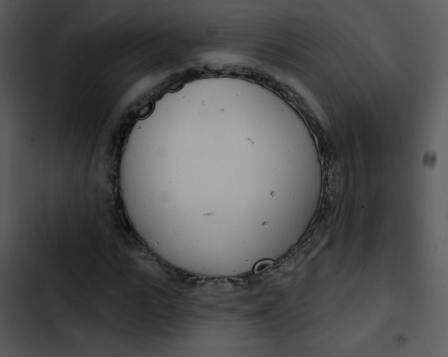 X0000102810919200809081105