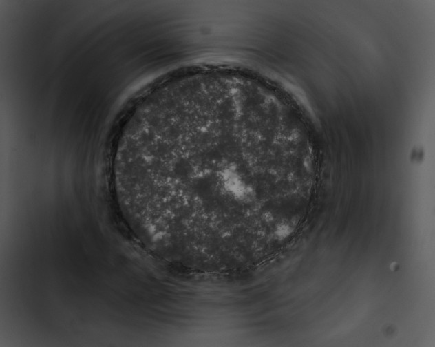 X0000102810920200809081105