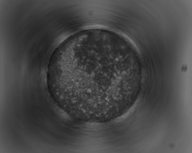 X0000102810921200809081105