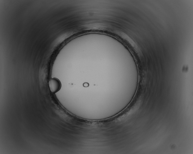 X0000102810922200809081105