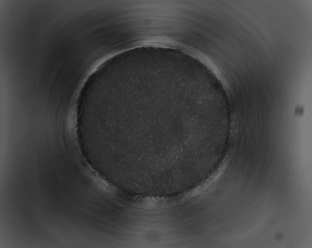 X0000102810923200809081105