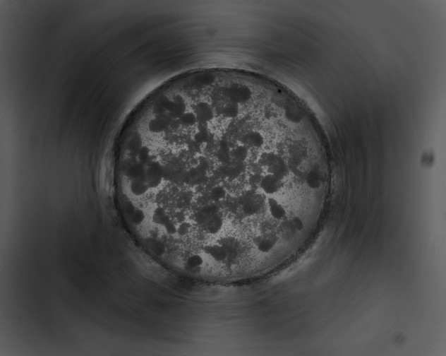 X0000102810925200809081105