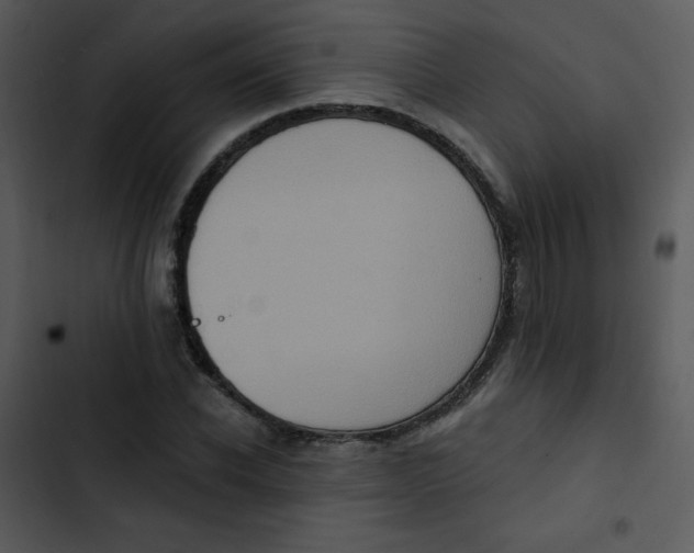 X0000102810926200809081105