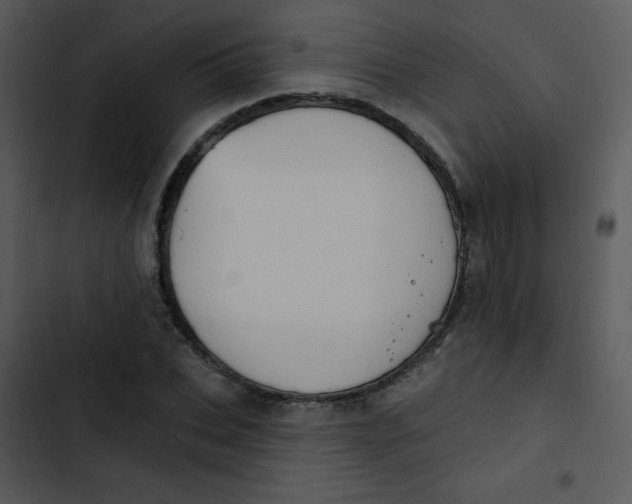 X0000102810927200809081105