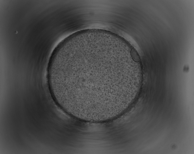 X0000102810928200809081105