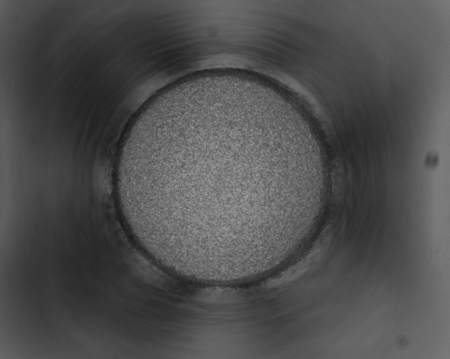 X0000102810929200809081105