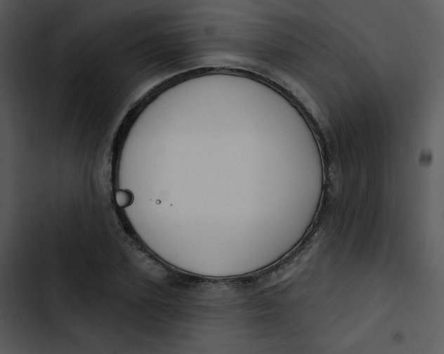 X0000102810931200809081105