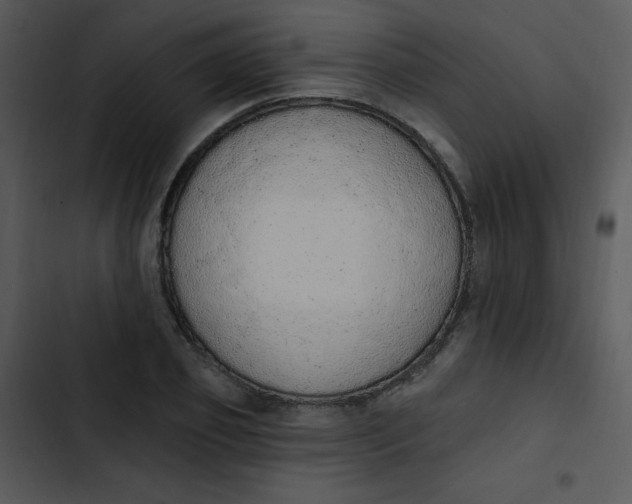 X0000102810933200809081105