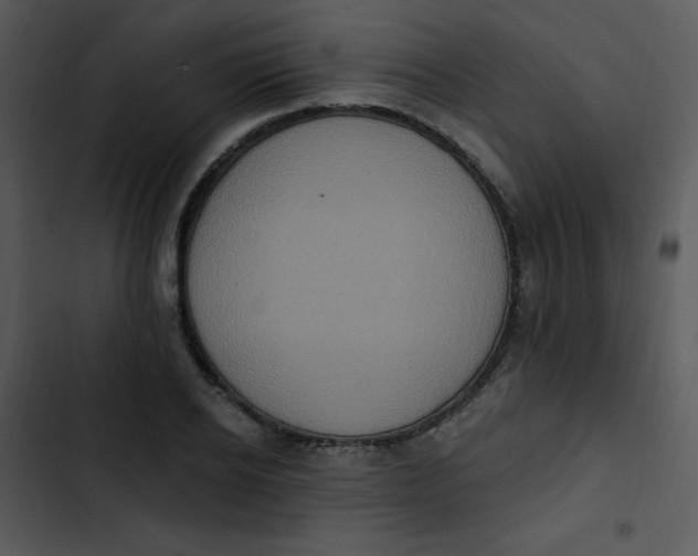 X0000102810934200809081105