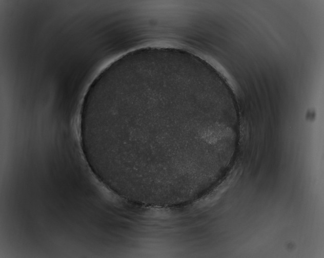 X0000102810935200809081105