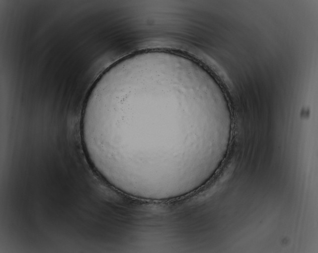 X0000102810937200809081105