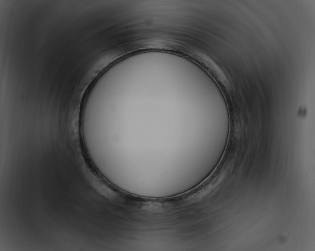 X0000102810938200809081105