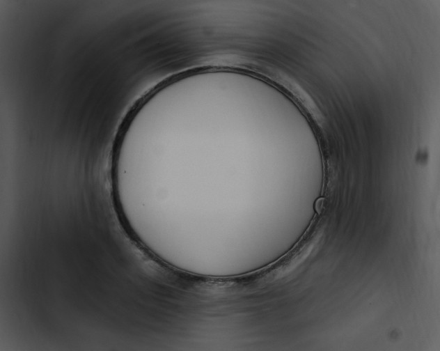 X0000102810939200809081105