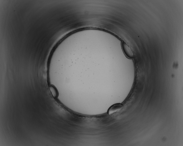 X0000102810940200809081105