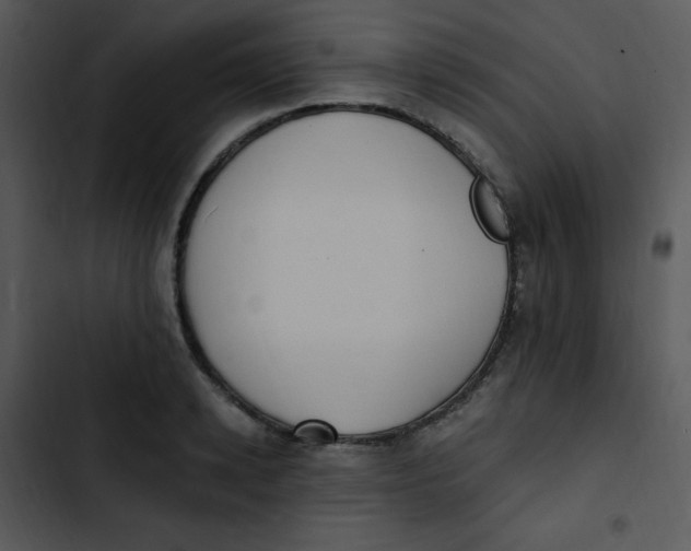 X0000102810942200809081105