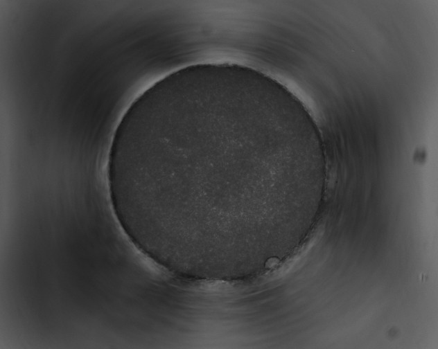 X0000102810943200809081105