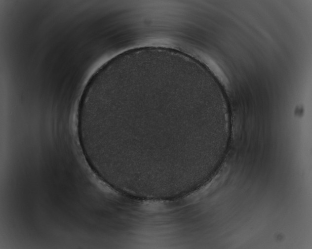 X0000102810944200809081105