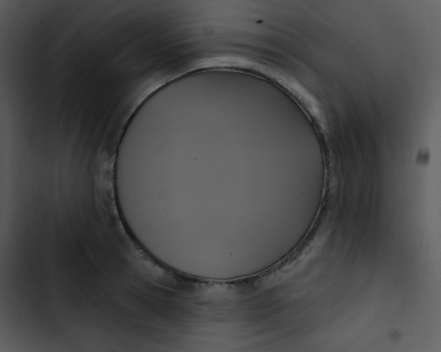 X0000102810945200809081105