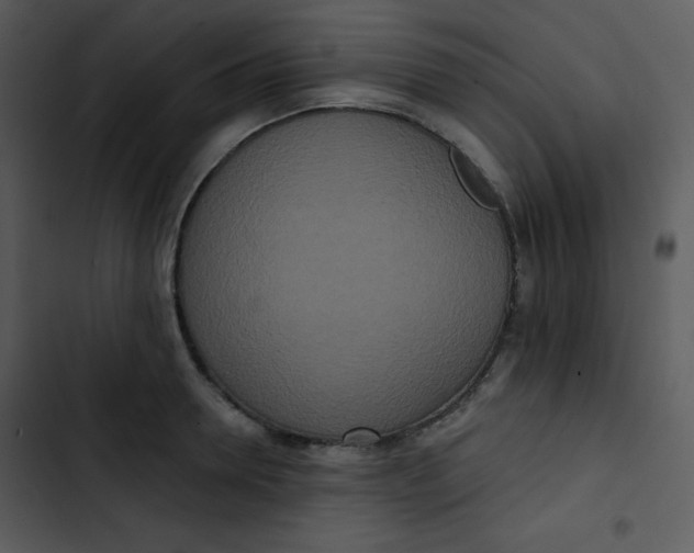 X0000102810946200809081105