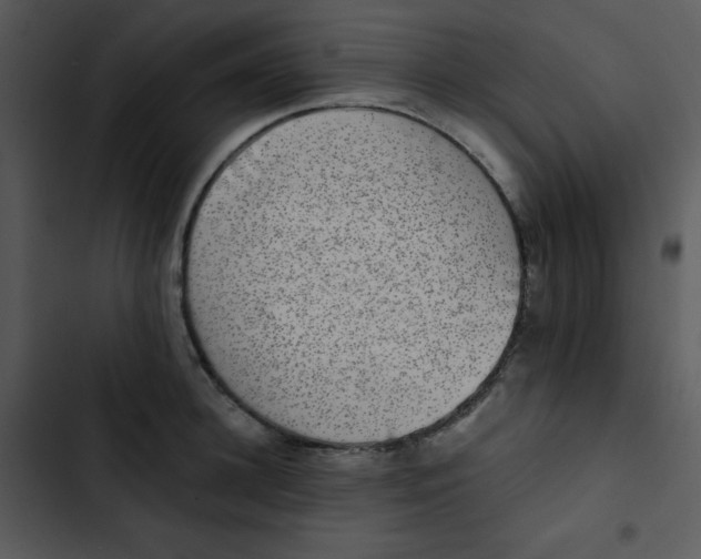 X0000102810948200809081105