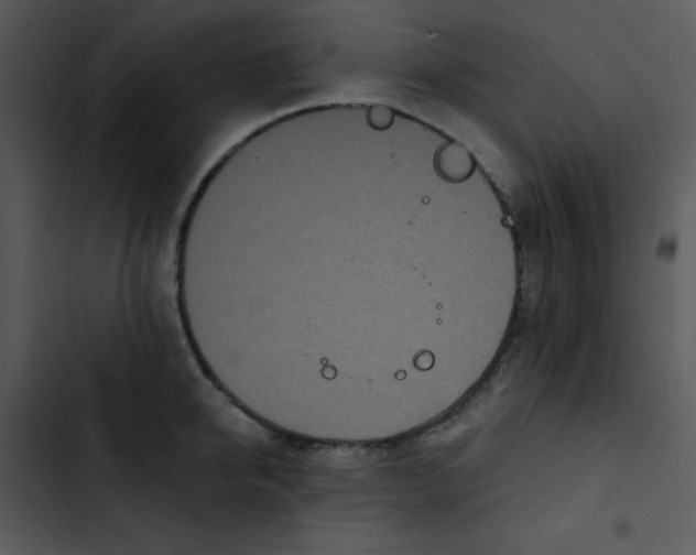 X0000102810950200809081105