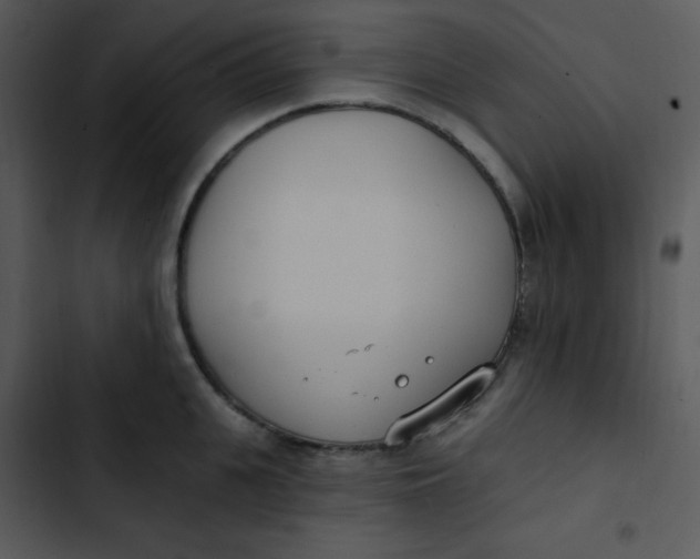 X0000102810951200809081105