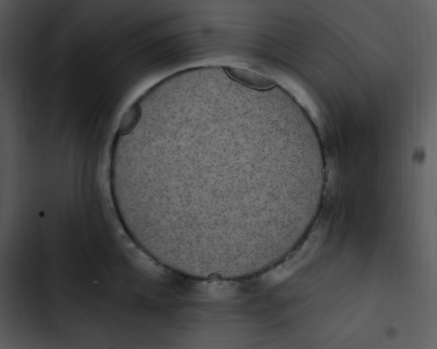 X0000102810952200809081105