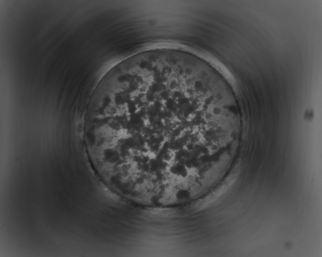 X0000102810953200809081105