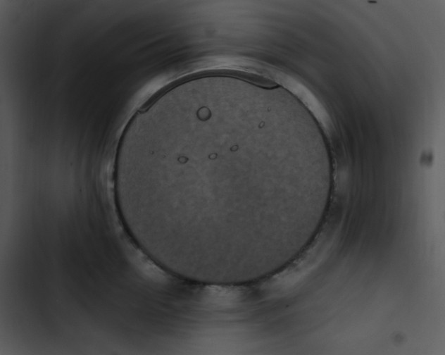 X0000102810954200809081105