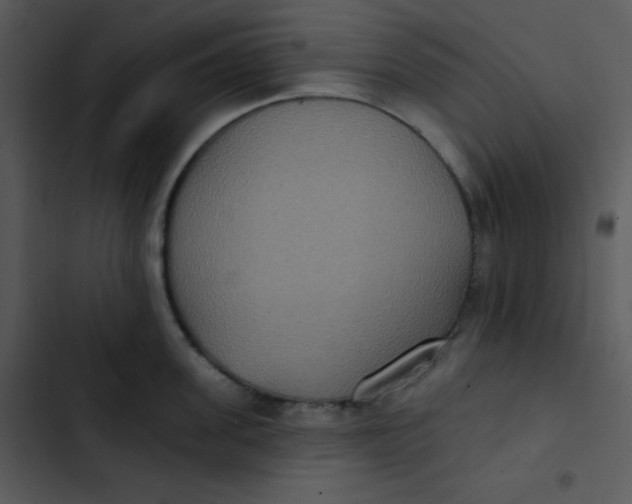 X0000102810955200809081105