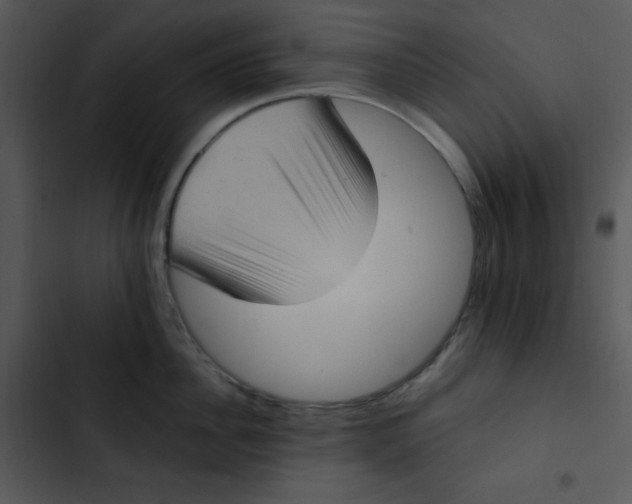 X0000102810956200809081105