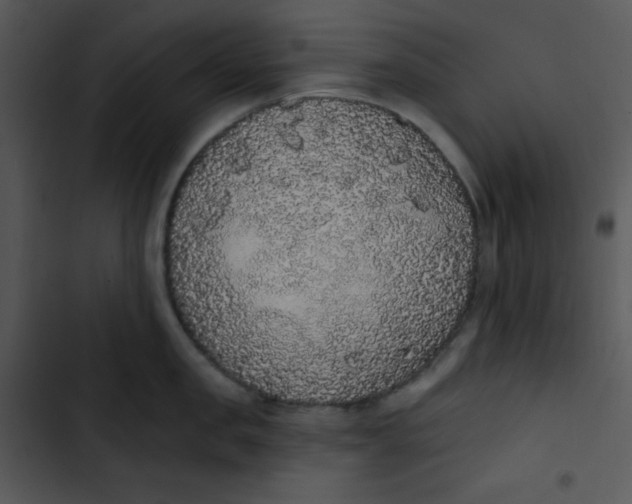 X0000102810957200809081105